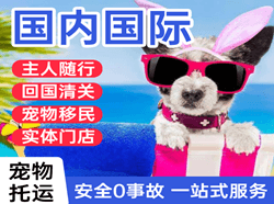 库车龟兹航空快递国际宠物托运 【国